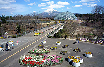 国宝 三徳山 投入堂